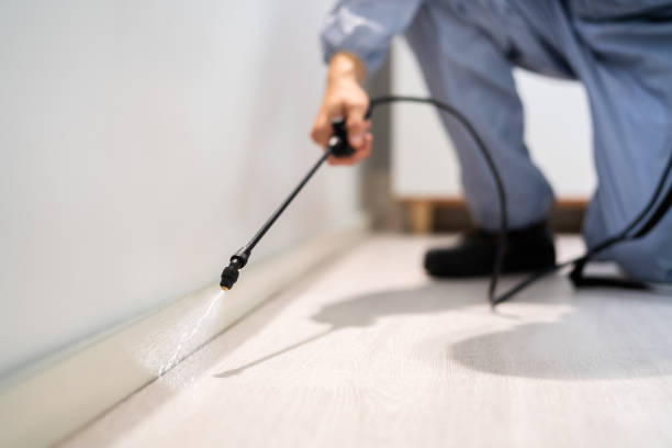 Licensed Cockroach Control service in Delavan, IL - Nex Pest Control