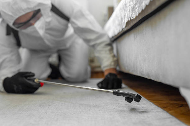 Professional Cockroach Control technician working in Delavan, IL