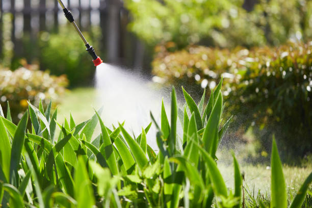24/7 Emergency Cockroach Control experts in Delavan, IL