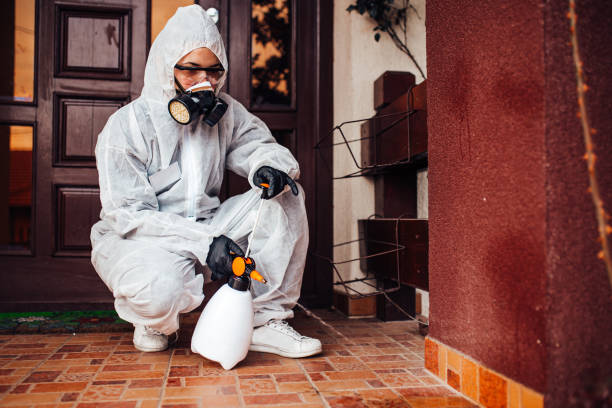 Reliable Cockroach Control contractor in Delavan, IL by Nex Pest Control